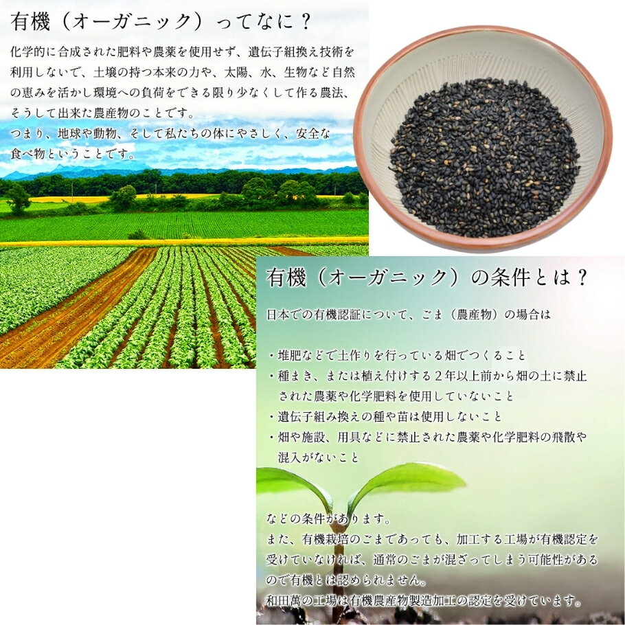 【6/22〜26限定最大400offクーポン】和田萬 有機 黒いりごま 50g 有機黒いりごま 手作業収穫 自然乾燥 職人の技が生きる濃厚な味わい