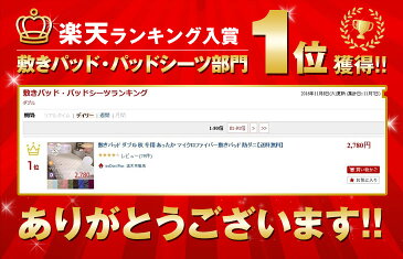 マイクロファイバー敷きパッド ダブル 秋 冬用 あったか 敷きパッド 防ダニ 静電気防止 リバーシブル