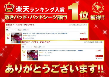 マイクロファイバー敷きパッド セミダブル 秋 冬用 あったか 敷きパッド 防ダニ 静電気防止 リバーシブル