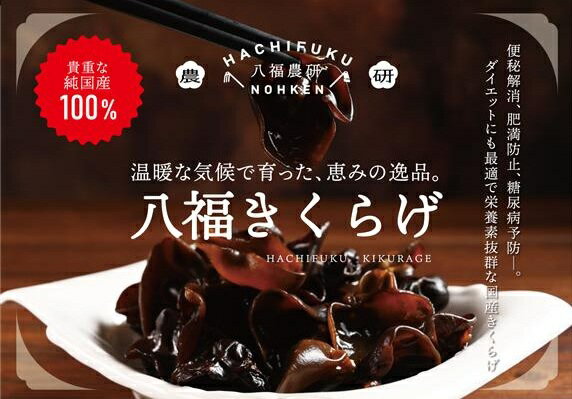 Other - 八福農研 宮崎県産 八福きくらげ 100g 国産 天きくらげ 乾燥きくらげ【送料無料】ビタミンD・B2 カリウム カルシウム マグネシウム 鉄分 亜鉛 不溶性食物繊維