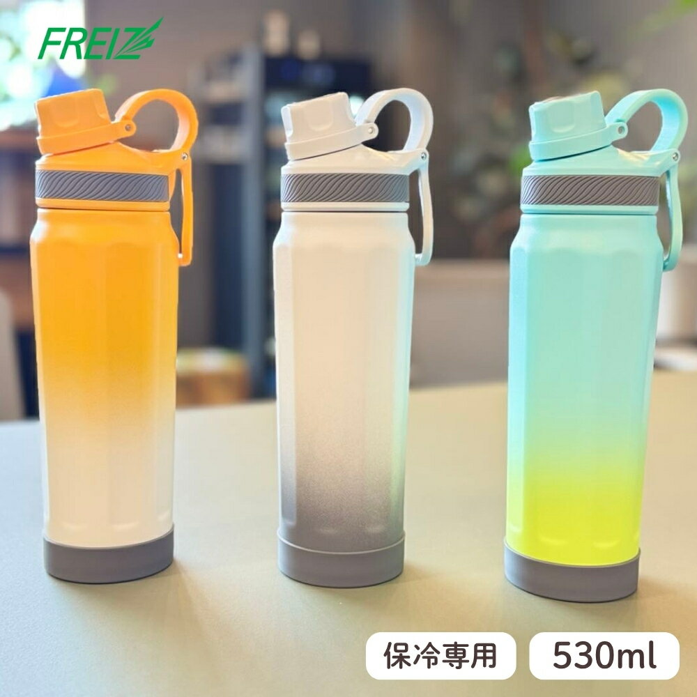 和平フレイズ フォルテック キャリングボトル 水筒 530ml ボトル マグ RH-1680 RH-1681 RH-1682 保冷 ..