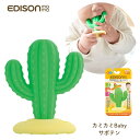 ★店内全品対象エントリーで+P5倍 エジソン カミカミBaby サボテン KJ4263 メール便対応 歯がため シリコン 赤ちゃん 新生児 ベビー おしゃぶり ...
