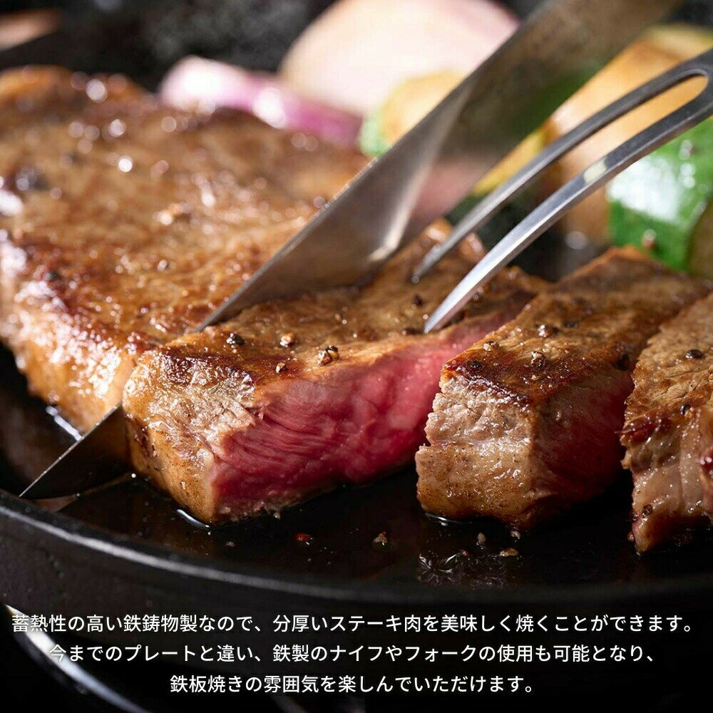 岩谷 ステーキ鉄板プレート 鉄鋳物製 CB-A-STP 4901140898082 鉄板プレート グリル...