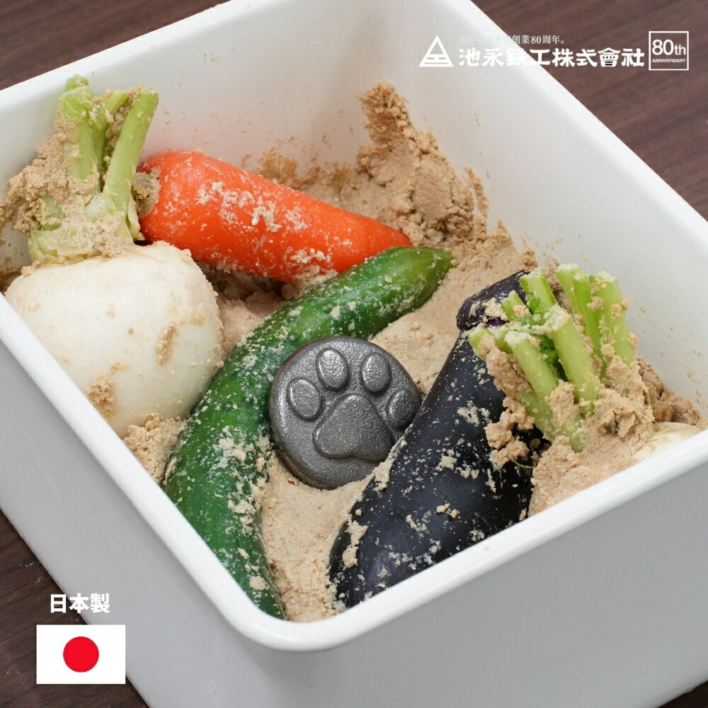 池永鉄工 ワンコロン 鉄玉 南部鉄器 日本製 鉄分補給 鉄 貧血予防 健康 白湯 お茶 漬物 煮豆 妊婦