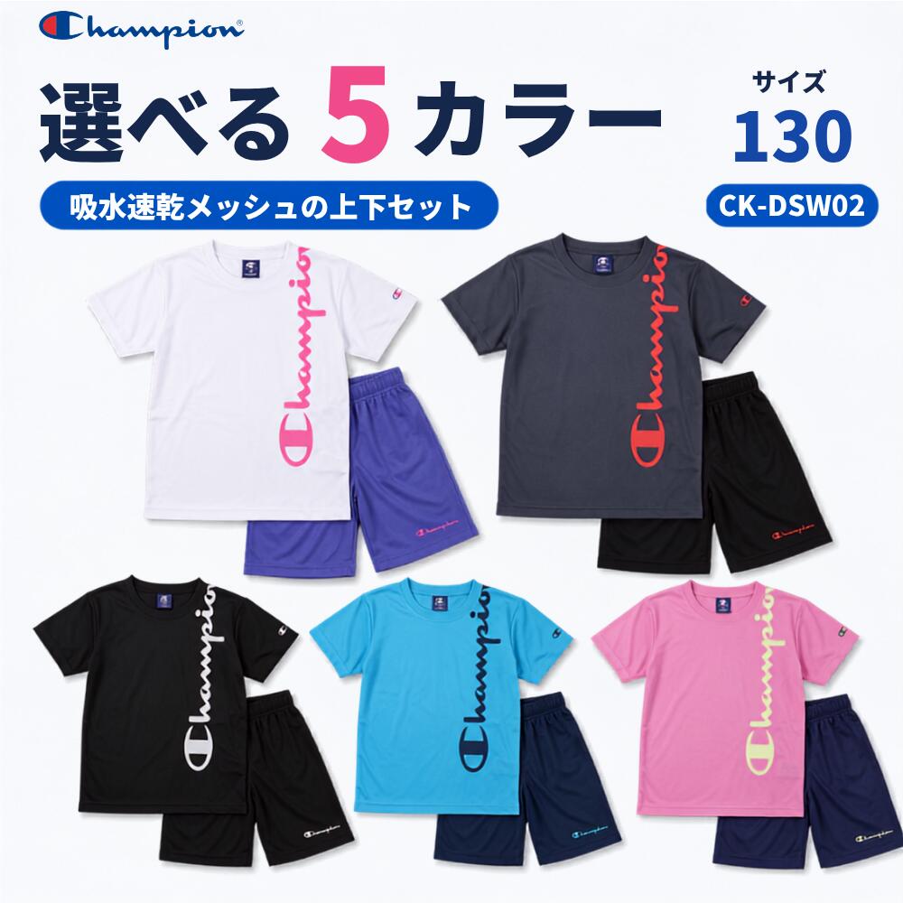 楽天市場】スキーウェア 130チャンピオンの通販