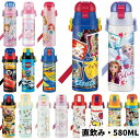 水筒 キッズ 子供 おしゃれ 直飲み ステンレス ワンタッチ ボトル 580ml 保冷専用 SDC6N スケーター/運動会