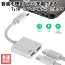 USB Type-C デュアルハブ アダプタ ケーブル コネクタ イヤホン 急速 充電 オーディオ 音楽 通話 動画 ゲーム / Smart Series Adapter