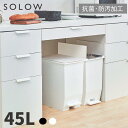 リス ゴミ箱 日本製 SOLOW ペダルオープンツイン 45L 45リットル ゴミ箱 ダストボックス 蓋つき ペダル付き キャスター付き 両開き 縦型 おしゃれ インテリア リビング