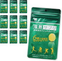塩熱サプリ 30g(24粒入り) 10袋 レモン ミドリ安全 サプリ サプリメント タブレット 熱中症 暑さ 対策 スポーツ 運動 栄養 電解質 水分 塩分 補給