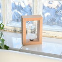 クーポン発行中 ストームグラス 気象計 天気管 天気予報 オブジェ 置物 置き物 サイエンス 科学 結晶 おしゃれ 北欧 木 ガラス ギフト プレゼント 引っ越...