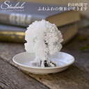 30%ポイントバック! 4/30 10:00〜5/2 9:59まで 店内全品送料無料クーポン発行中5/9 19:59まで 樹氷 オブジェ 置物 日本 特許 雪 ...