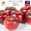 【2025年 予約受付中】「厳選」こだわりブランド リンゴ 5kgセット 10〜18個入り ★秋映★【レビュー 特典】贈り物 ギフト プレゼント ありがとう お祝い 内祝い 結婚 誕生日 景品 季節 旬 果物 フルーツ りんご おしゃれ(4)