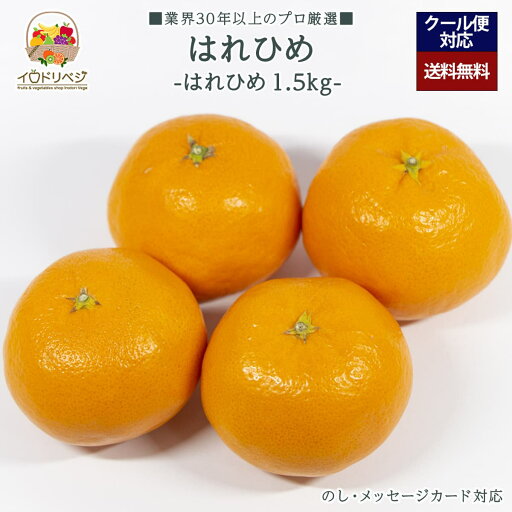 【予約受付中】「厳選」こだわりはれひめ 1.5kgセット 6〜10個入り ★産地厳選★【レビュー 特典】贈り物 ギフト プレゼント ありがとう お祝い 内祝い 結婚 誕生日 景品 季節 旬 果物 フルーツ 柑橘 おしゃれ 【予約受付中】「厳選」こだわりはれひめ 1.5kgセット 6〜10個入り ★産地厳選★【レビュー 特典】贈り物 ギフト プレゼント ありがとう お祝い 内祝い 結婚 誕生日 景品 季節 旬 果物 フルーツ 柑橘 おしゃれ