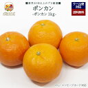 【2025年出荷予定】「厳選」こだわりポンカン 1kgセット 6~9個入り ★産地厳選★【レビュー 特典】贈り物 ギフト プレゼント ありがとう お祝い 内祝い 結婚 誕生日 景品 季節 旬 果物 フルーツ 柑橘 おしゃれ