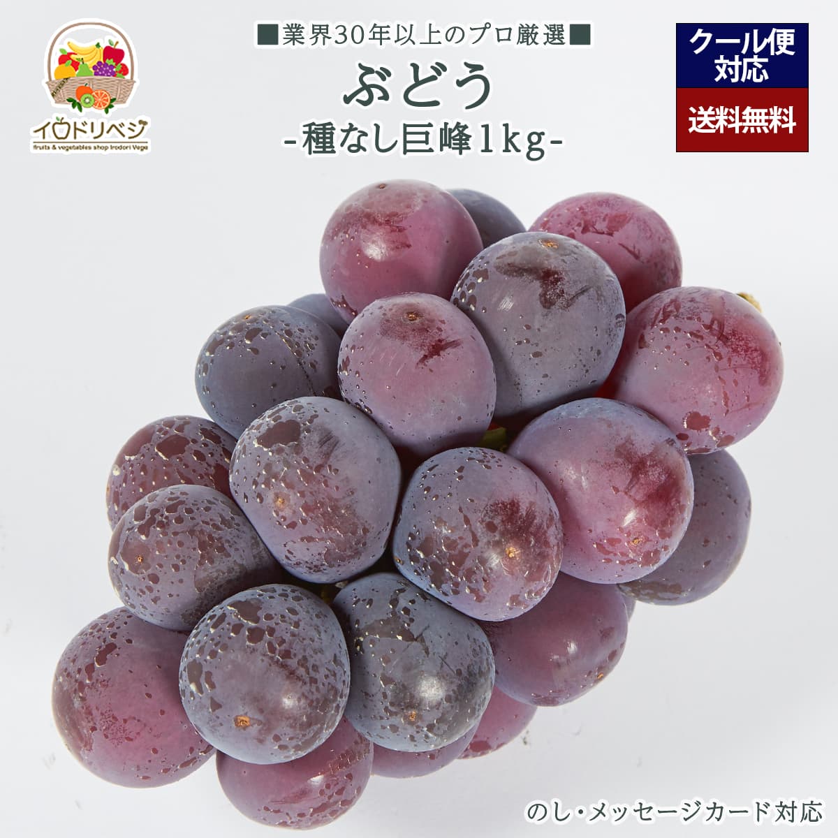 【2026年 予約受付中】「厳選」種なし巨峰 1kgセット ★大粒★【レビュー 特典】贈り物 ギフト プレゼント ありがとう お祝い 内祝い 結婚 誕生日 景品 季節 旬 果物 フルーツ ぶどう おしゃれ