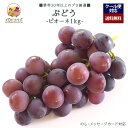 【2025年 予約受付中】「厳選」こだわりピオーネ 1kgセット ★大粒★【レビュー 特典】贈り物 ギフト プレゼント ありがとう お祝い 内祝い 結婚 誕生日 景品 季節 旬 果物 フルーツ ぶどう おしゃれ