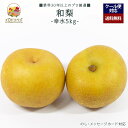 【2025年出荷予定】「厳選」旬の和梨 5kgセット ★幸水 梨★【レビュー 特典】贈り物 ギフト プレゼント ありがとう お祝い 内祝い 結婚 誕生日