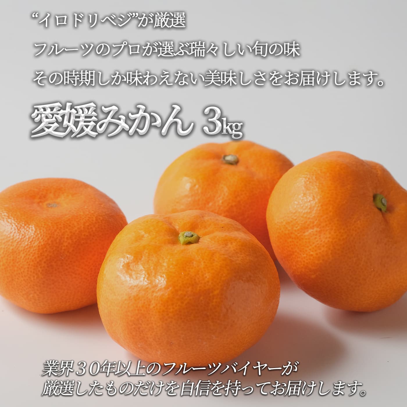 【2026年出荷予定】「厳選」こだわりブランドみかん 3kgセット ★愛媛みかん★【レビュー 特典】贈り物 ギフト プレゼント ありがとう お祝い 内祝い 結婚 誕生日 景品 季節 旬 果物 フルーツ 柑橘 おしゃれ