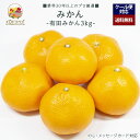 【2026年出荷予定】「厳選」こだわりブランドみかん 3kgセット ★有田みかん★【レビュー 特典】贈り物 ギフト プレゼント ありがとう お祝い 内祝い 結婚 誕生日 景品 季節 旬 果物 フルーツ 柑橘 おしゃれ