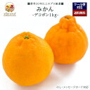 【2025年出荷予定】「厳選」こだわりデコポン 1kgセット 3~5個入り ★産地厳選★【レビュー 特典】贈り物 ギフト プレゼント ありがとう お祝い 内祝い 結婚 誕生日 景品 季節 旬 果物 フルーツ 柑橘 おしゃれ