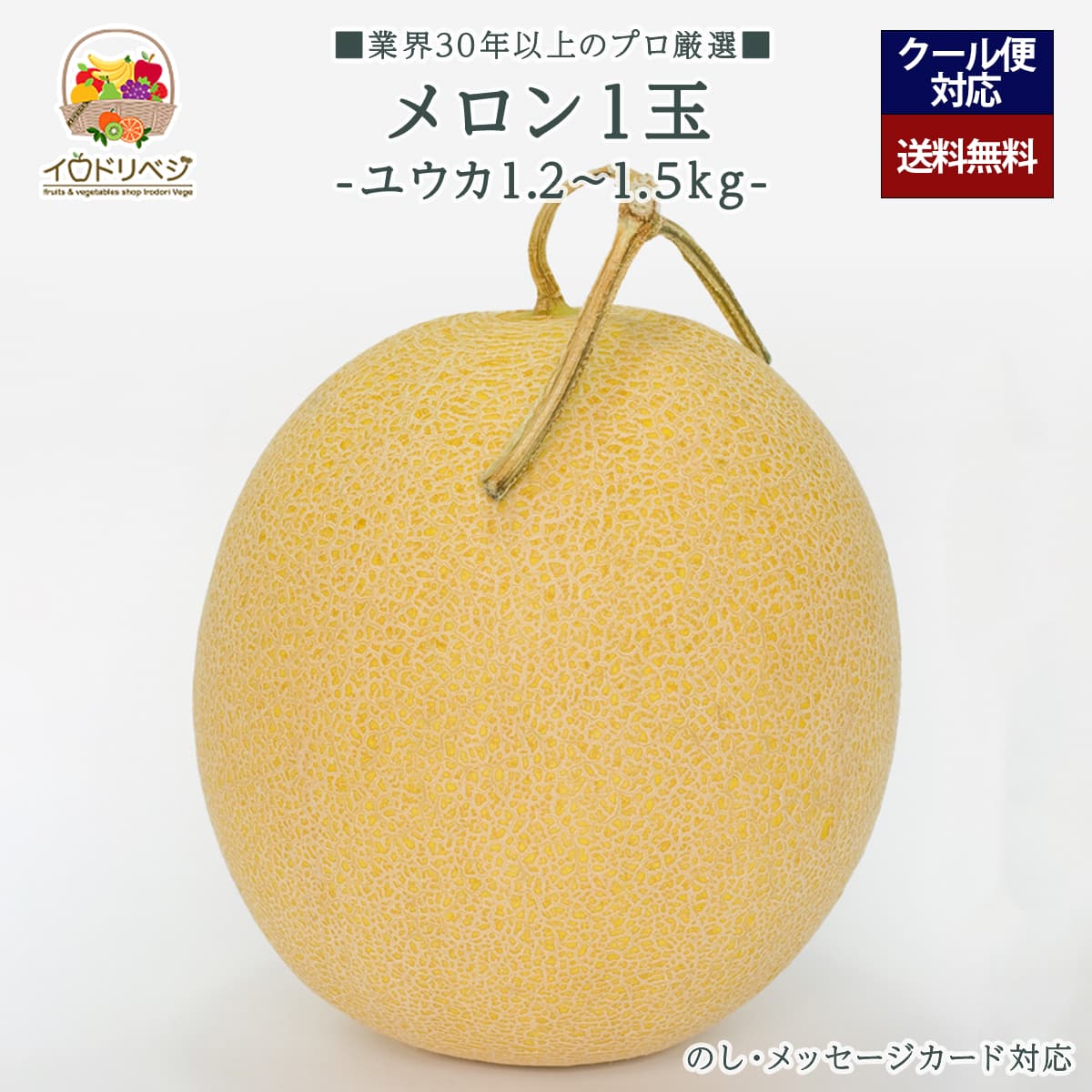 「厳選」こだわりブランド メロン 1玉 1.5kgセット ★ユウカ メロン★【レビュー 特典】贈り物 ギフト プレゼント ありがとう お祝い 内祝い 結婚 誕生日 父の日 お中元 御中元 暑中見舞のサムネイル