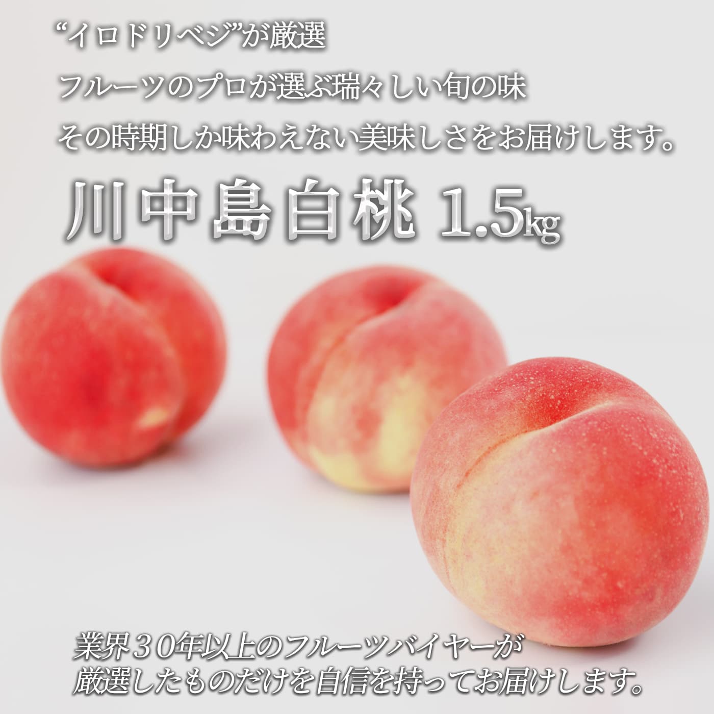【2025年出荷予定】「厳選」こだわり桃 1.5kgセット 4〜6個入り ★川中島白桃★【レビュー 特典】贈り物 ギフト プレゼント ありがとう お祝い 内祝い 結婚 誕生日