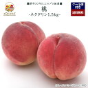 【2025年出荷予定】「厳選」こだわり桃 1.5kgセット 5〜10個入り ★ネクタリン★【レビュー 特典】贈り物 ギフト プレゼント ありがとう お祝い 内祝...