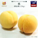 【2025年出荷予定】「厳選」こだわり桃 1.5kgセット 4〜6個入り ★黄金桃★【レビュー 特典】贈り物 ギフト プレゼント ありがとう お祝い 内祝い 結...