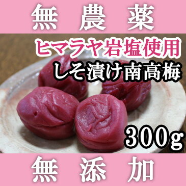 梅干し 無添加 無農薬 しそ漬南高梅 300g ヒマラヤ岩塩使用 熊野のご褒美 ミネラル岩塩使用 酵素梅干し 10%の低塩 紀州産 紫蘇漬け南高梅 無化学肥料 梅干 ご自宅用にもお歳暮などのギフト・贈り物にもおすすめです。 彩り屋