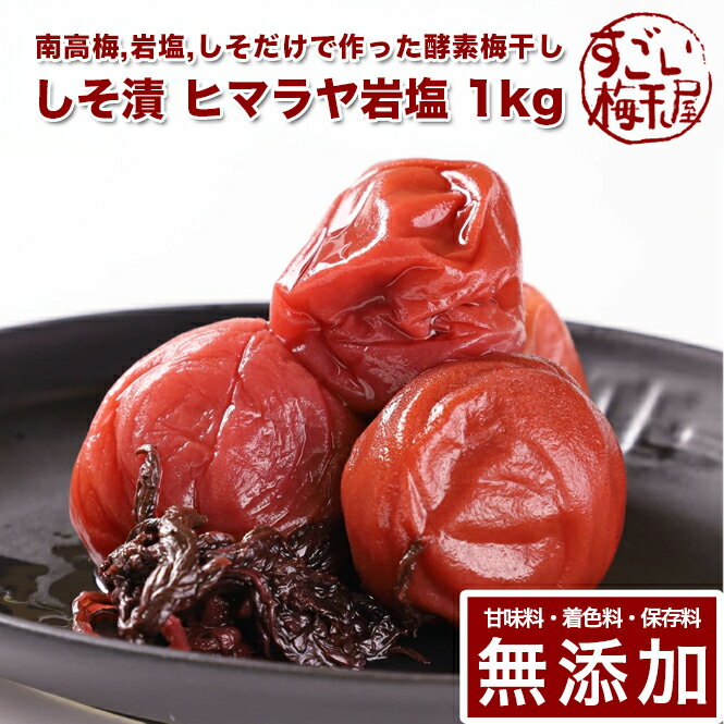 ポイント2倍 南高梅 梅干し しそ漬 1kg ヒマラヤ岩塩使用紀州南高梅 昔ながら 梅干 うめぼし 梅ぼし しそ漬け 酵素 減塩 送料無料 ギフト プレゼント 贈り物 和歌山 甘味料 保存料 着色料 無添加 無農薬 栽培期間中:農薬不使用 彩り屋 すごい梅干し屋 現在入荷待ち