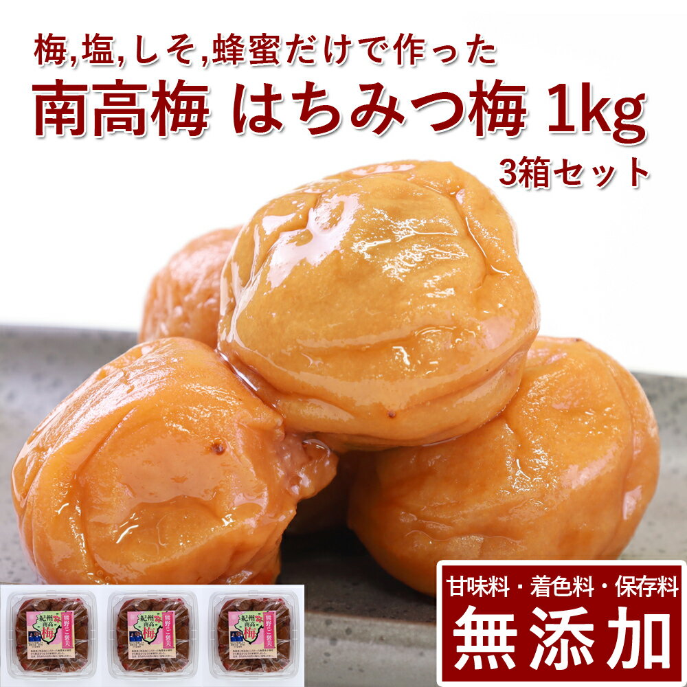 【10%OFF】南高梅 梅干し はちみつ 3kg紀州南高梅 