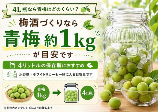 青梅 1キロ 梅酒用 10キロ 梅干し用 5キロ 10kg 南高梅 生梅 1kg 2kg 5kg 20kg 30k...