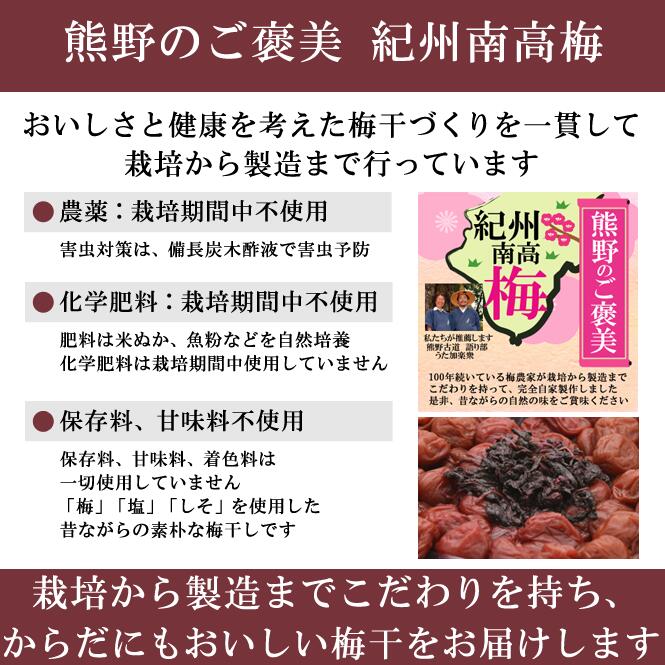 訳あり 南高梅 梅干し はちみつ 1kg紀州南高梅 昔ながら 梅干 うめぼし 梅ぼし はちみつ漬け 山みつ漬け はちみつ梅 減塩 つぶれ梅 家庭用 送料無料 和歌山 甘味料 保存料 着色料 無添加 添加物不使用 無農薬 農薬不使用 人工甘味料不使用 彩り屋 3