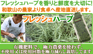 �������ޥ꡼ 15g �ե�å���ϡ��� ���� �²λ�������������������̣�Ť���ϡ��֥ƥ�������������ݥƥ������ˡ��ѹ��������ˤ褯�礤�ޤ� �̤결