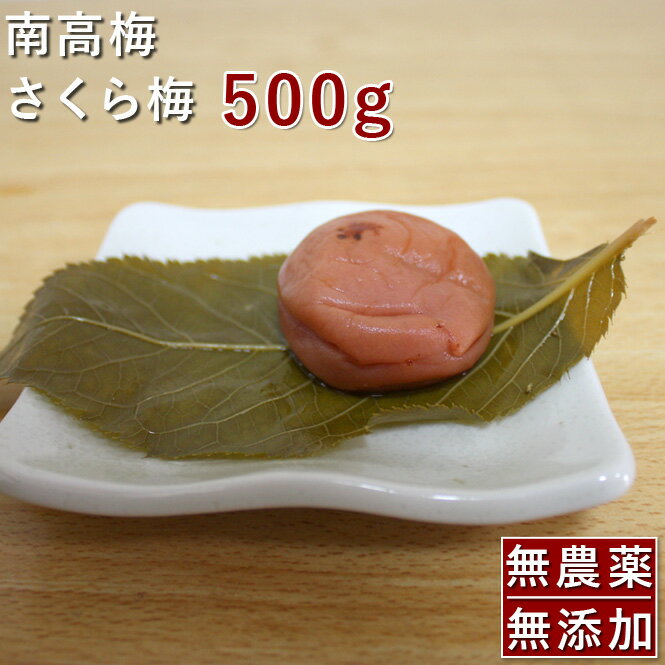 南高梅 梅干し さくら梅 500g紀州南