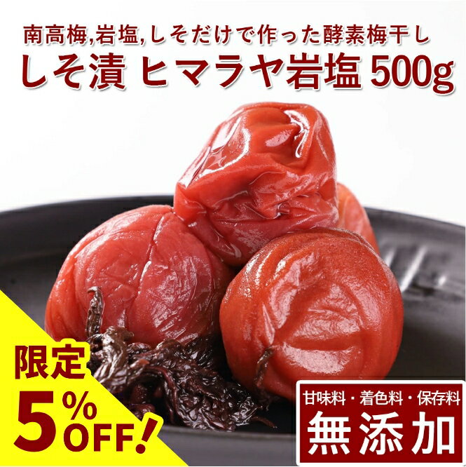 【5%OFF】南高梅 梅干し しそ漬 500g 