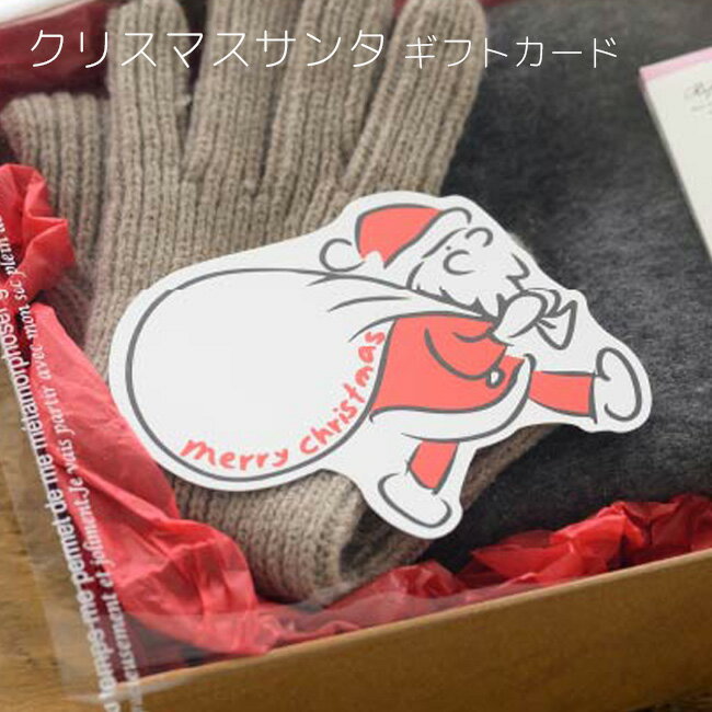 2枚 クリスマス サンタ ギフトカード グリーティングカード ラッピング プレゼント ギフト カード リボン クリスマスプレゼント クリスマスカード メッセージ...