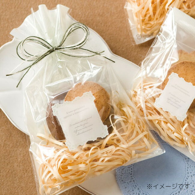 2枚 少量 少し 枚 ミントストライプ OPP バッグ 透明袋 ミント ストライプ シンプル 柄 OPP袋 ラッピング ギフト プレゼント 袋 ポリ袋 クリアバ...