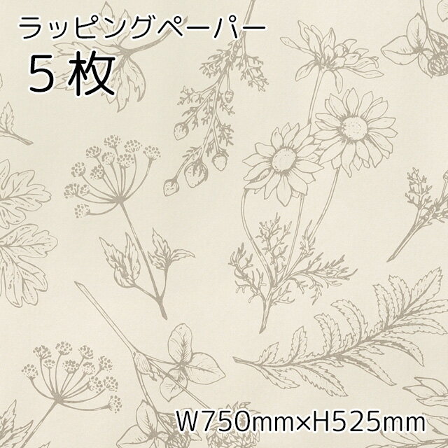 5枚 包装紙 半紙 W750×H525mm ベルプランツ ラッピングペーパー 紙 用紙 お祝い 誕生日 イベント プレゼント ギフト プチギフト ラッピング おしゃれ かわいい 上品 ボタニカル 植物 花 フラワー 北欧 柄 シンプル モノトーン ナチュラル 包装