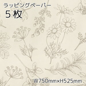 5枚 包装紙 半紙 W750×H525mm ベルプランツ ラッピングペーパー 紙 用紙 お祝い 誕生日 イベント プレゼント ギフト プチギフト ラッピング おしゃれ かわいい 上品 ボタニカル 植物 花 フラワー 北欧 柄 シンプル モノトーン ナチュラル 包装