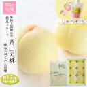 【予約受付品 2025年8月中旬頃から発送予定】岡山の桃 晩生 (おくて)品種 約1.3kg(5〜6玉) 白麗 瀬戸内白桃 幸茜 いろは堂特選 岡山県産 岡山 ...