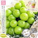 【予約受付品 2025年8月上旬頃から 発送予定】岡山県産 シャインマスカット 約600g 1房 岡山 ぶどう お中元 果物 種なし 皮ごと 贈答用 ギフト お土産 プレゼント お取り寄せ 送料込 (北海道、沖縄除く) 直送 くだもの