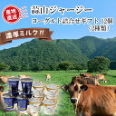 【メーカー直送】蒜山ジャージー ヨーグルト詰合せギフト 12個入り 2種類 A2 贅沢 送料込 (北海道、沖縄除く) 岡山 ご当地 セット おすすめ 贈答 贈り...