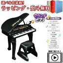 〔☆〕Vit Heart NEW ミュージックスター グランドピアノ ヴィットハート 商品動画 楽器 おもちゃ 音楽 音遊び デモ曲15曲 黒いピアノ 男の子 女の子 3歳 室内遊び ギフト プレゼント 誕生日 お祝い 贈り物 ブラックフライデー クリスマス