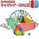 Kids2 Baby Einstein 12573 カラー プレイスペース・アクティビティジム キッズツー ベビーアインシュタイン ベビージム ベビーマット おもちゃ 男の子 女の子 プレイジム 赤ちゃん 0ヶ月 知育 出産祝い ギフト プレゼント お祝い 贈り物 ブラックフライデー クリスマス