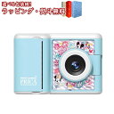 〔☆〕 PRINT CAMERA プリカ ディズニー&ピクサーキャラクターズ セガフェイブ (SEGA FAVE) おもちゃ カメラ 液晶トイ 男の子 女の子 ...