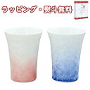 京焼・清水焼 花結晶(白地青赤) ペアフリーカップ 和陶器 セット 結晶釉 贈り物 引出物 内祝い お祝い 香典 お返し 記念品 景品 粗品 プレゼント ギフト 父の日 母の日 敬老の日 贈答品 クリスマス 外のし 手提げ袋 生活雑貨 陶器 テーブルウェアー