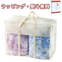 【特撰】和の色彩 三河木綿 ダブルガーゼ 羽毛タッチ中わた肌布団2P WK3024 送料無料 (北海道、沖縄除く) 2枚セット 寝装品 寝具 引出物 贈り物 内祝い お祝い 香典 お返し 記念品 景品 御礼 父の日 母の日 敬老の日 ご挨拶 退職 快気 クリスマス 外のし 手提げ袋 生活雑貨(3)