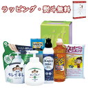 【特撰】キレイキレイ&マジカバラエティセット KMG-30B 送料無料 (北海道、沖縄除く) 泡 ハンドソープ 石鹸 うるおい 液体 食器用 洗剤 除菌 抗菌 内祝 快気 香典 お返し お祝い 粗品 景品 ご挨拶 あいさつ 工事 引越し 退職 お中元 お歳暮 外のし 手提げ袋 生活雑貨 詰合せ