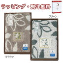 【特撰】抗菌加工 ハロテイスト玄関マット ブラウン(095445BW) グリーン(095452GR) 送料無料 (北海道、沖縄除く) 繊維雑貨 引出物 贈り物 ...
